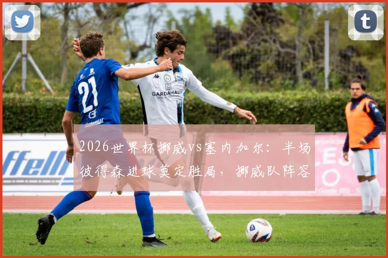 2026世界杯挪威vs塞内加尔：半场彼得森进球奠定胜局，挪威队阵容分析及全场录像回顾
